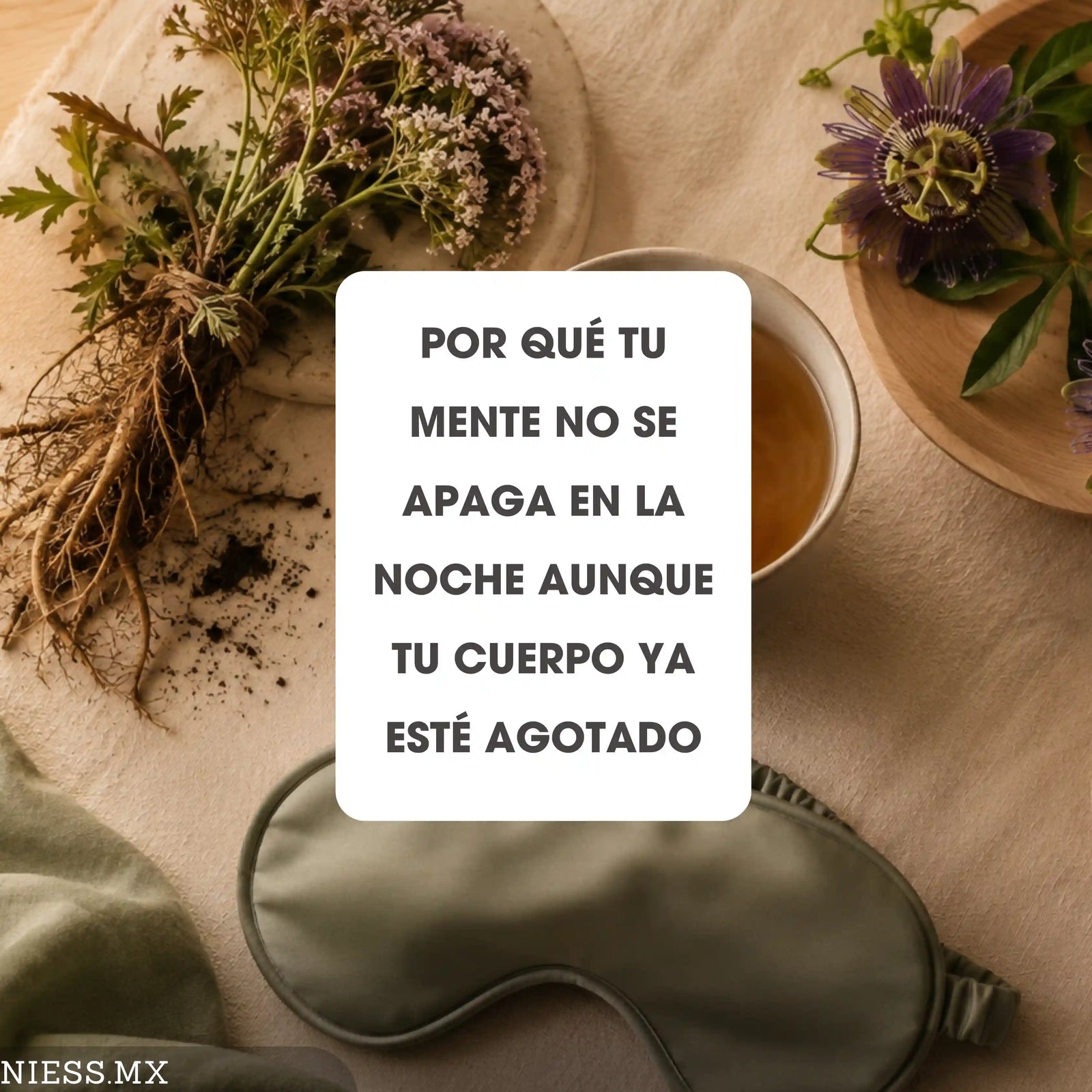 Melatonina, valeriana o pasiflora: cuál te conviene según tu tipo de insomnio